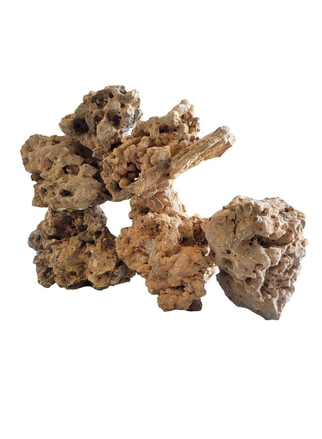 RUKDA® Authentic Natural Hole Congo Rock: Versatile Stone for Aquariums Decor, Gardens Decoration, Bonsai Rock Base, and Home Decoration - (Congo Rock 1 Kg) - Image 4